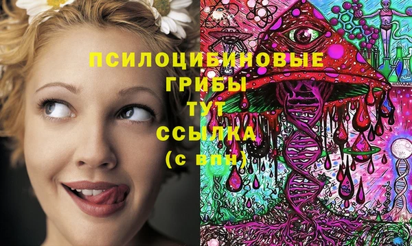 прущая мука Кодинск