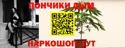 apvp Камышлов