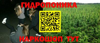 apvp Камышлов