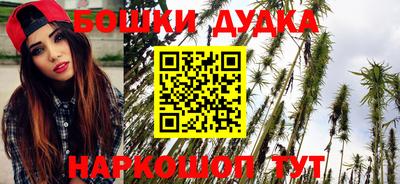 apvp Камышлов