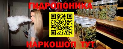 apvp Камышлов