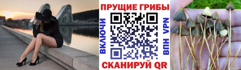 гидра сайт  Кумертау  Галлюциногенные грибы Magic Shrooms  купить наркотики цена 