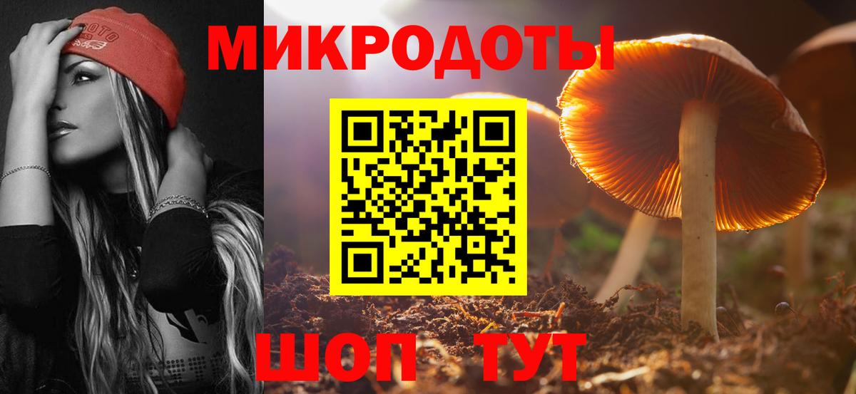 Псилоцибиновые грибы Psilocybe  Галлюциногенные грибы MAGIC MUSHROOMS  Кумертау  Вход с VPN 
